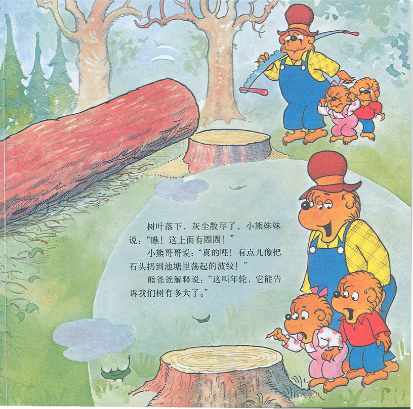 难忘的生日（贝贝熊） (08),绘本,绘本故事,绘本阅读,故事书,童书,图画书,课外阅读
